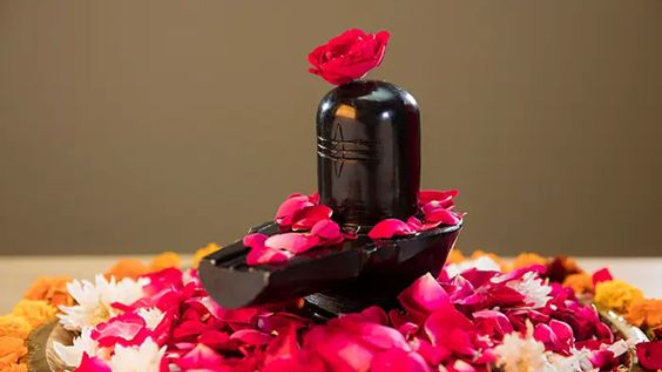 rudrabhishek puja