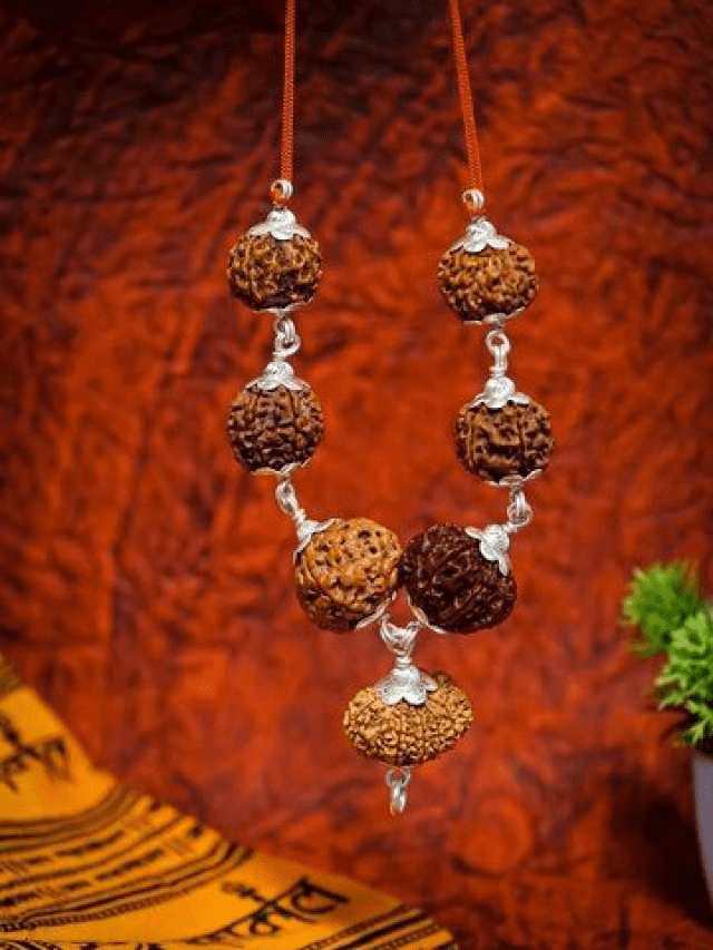 how-to-identify-real-rudraksha-know-here-vama-app