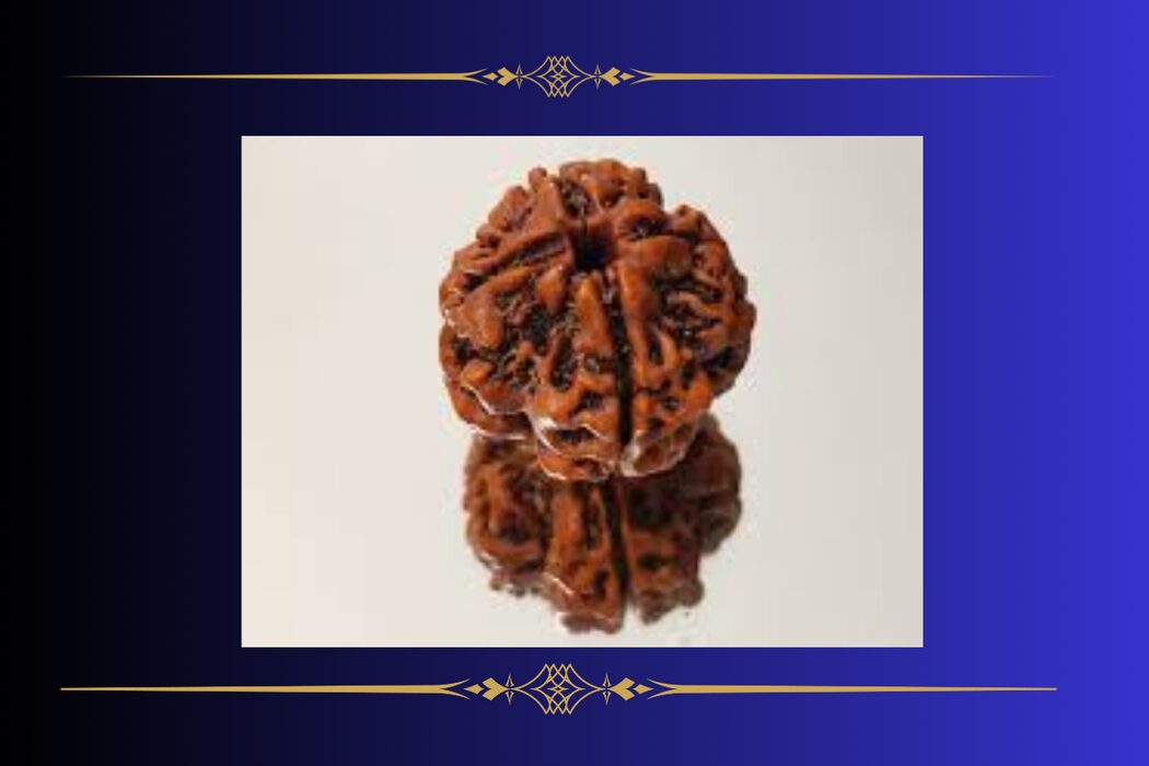 4-Mukhi-rudraksha