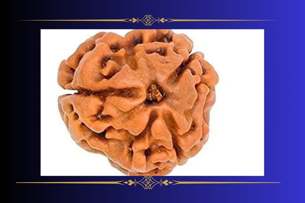 teen-mukhi-rudraksha