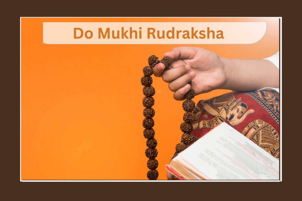 do-mukhi-rudraksha