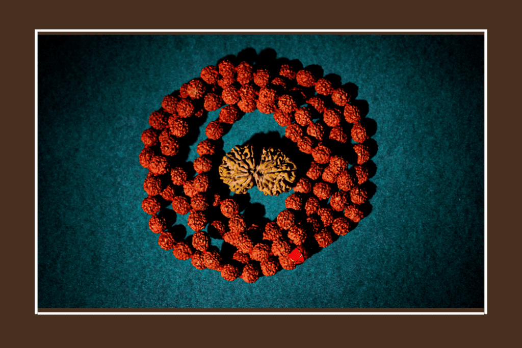 ek-mukhi-rudraksha